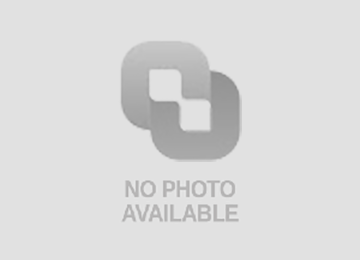 濟南第一糧庫有限公司2026年裝卸搬運服務(wù)項目招標公告