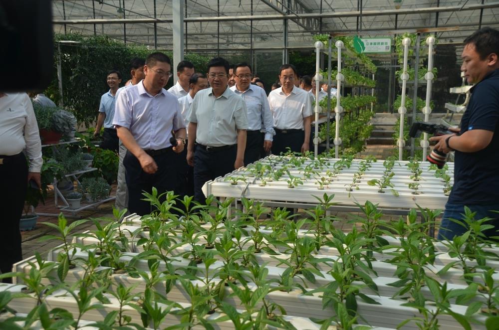 科技助農，播撒光的種子  精準扶貧，助力鄉村振興